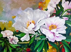 17 white peony