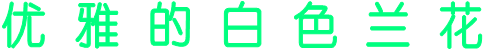 优 雅 的 白 色 兰 花